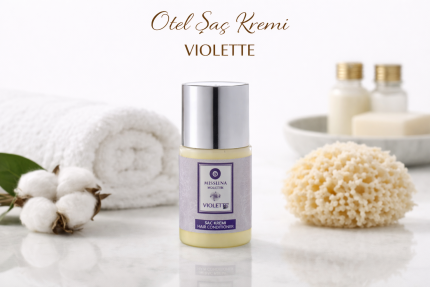 Отель Conditioner VIOLETTE